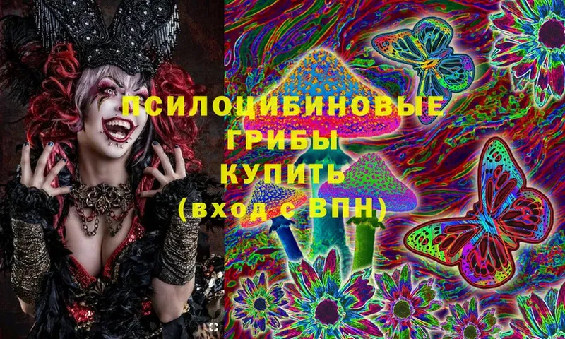 Псилоцибиновые грибы Cubensis  где купить наркоту  KRAKEN как войти  Навашино 